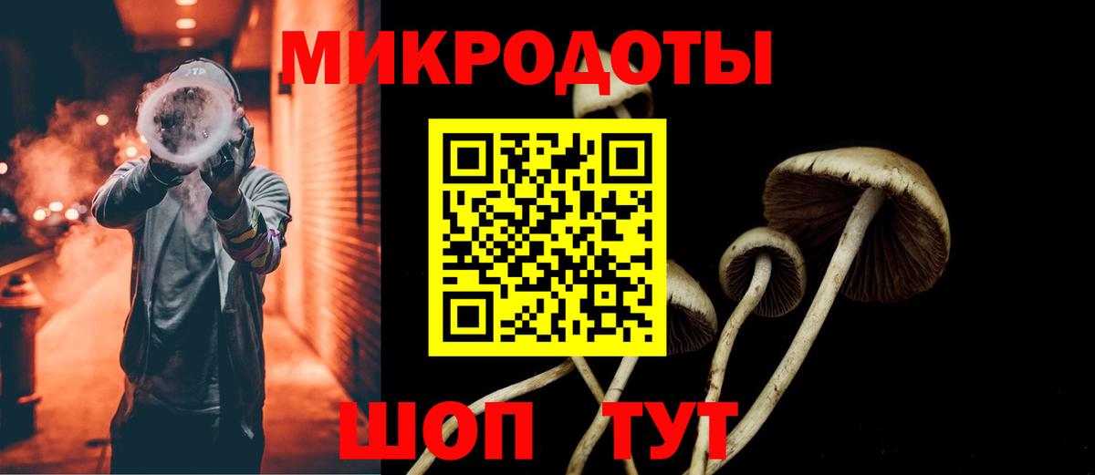 Выборг  купить закладку  Галлюциногенные грибы мухоморы  Вход с VPN  Псилоцибиновые грибы мухоморы 